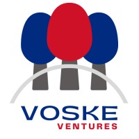 Voske Ventures logo - Similar company to Strivv Corp