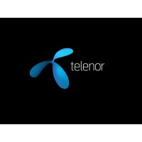 telenor pakistanpk logo - Similar company to Telephone