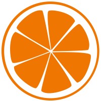 netzorange IT-Dienstleistungen GmbH & Co. KG logo - Similar company to Smart Lemon Gmbh & Co. Kg