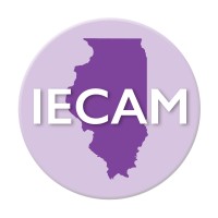 Illinois Early Childhood Asset Map (Iecam)