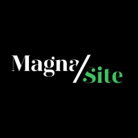 MagnaSite logo - Similar company to Cape Neto Solutions