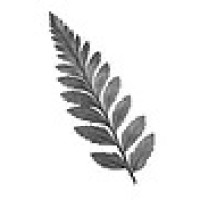 January Search logo - Similar company to Voyagr