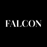 Falcon Magazine logo - Similar company to Not Found Lab