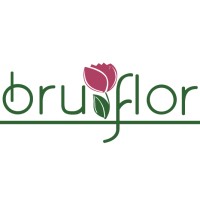 Bruflor logo - Similar company to Datexbio