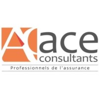 ACE Consultants logo - Similar company to Relais Compta, Relais Recrutement Des Experts-Comptables