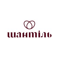 Shantil LLC logo - Similar company to Not The Worst Solutions