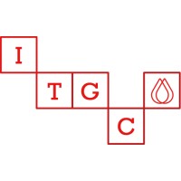 ITGC logo - Similar company to Is Audit