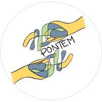 Pontem News