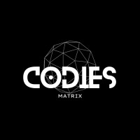CODIES MATRIX logo - Similar company to Codies.In