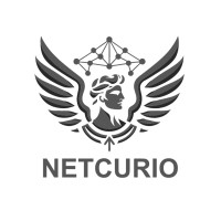 Netcurio Networking logo - Similar company to Orpesa-Inn Congreso Internacional De Ia