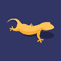 Gecko Designs logo - Similar company to Gecko Design