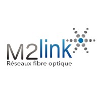 M2LINK logo - Similar company to Synapsis