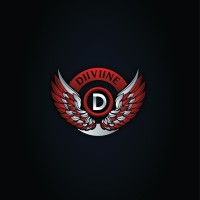 DIIVIINE GROUP logo - Similar company to Softpro India Computer Technologies Pvt Ltd