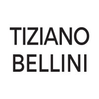Tiziano Bellini Wine logo - Similar company to Evermede, Inc