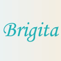 BRIGITA PRIVATE LIMITED logo - Similar company to Scalefresh Ai