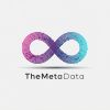 The Meta Data logo - Similar company to Mindsharp Technologies
