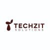 Techzit Solutions logo - Similar company to Techz Digital