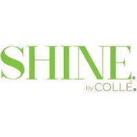Shine Jewelry Cleaner