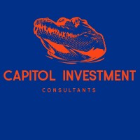 Capitol Investment Consultants LTD logo - Similar company to Lmr Group