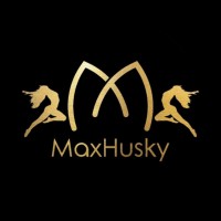 MaxHusky Studio logo - Similar company to Dance Chicago
