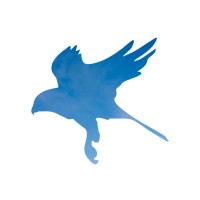 Spatial Eye logo - Similar company to Spatial Insight