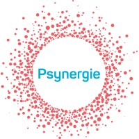 Psynergie Consulting Ltd logo - Similar company to Steph Snade Leadership