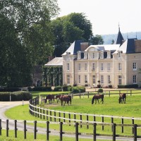 Haras de la Potardière logo - Similar company to Asano