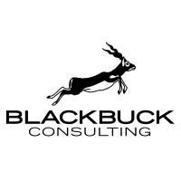 Blackbuck Consulting logo - Similar company to Trinity Transaction Services, Llc