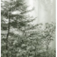 Calvin Edwards & Company logo - Similar company to Charitable Solutions, Llc