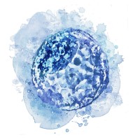 IVF Asia Group logo - Similar company to Fertility Philippines