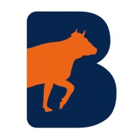 BETAIL HEALTHCARE LLP logo - Similar company to Eläinlääkäriasema Lillvet
