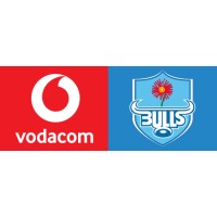 Blue Bulls Company logo - Similar company to Bridgesource Accounting Services, Llc