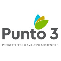 Punto 3 logo - Similar company to Linfa Consulting