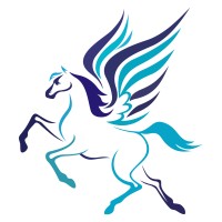 Flying Changes logo - Similar company to Mastermind Consultancy