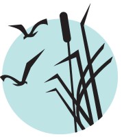 The Marshes Of Skidaway Island
