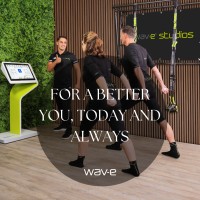 Wav-e Nederland logo - Similar company to Gisgal