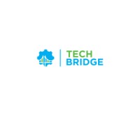 TechBridge Consulting logo - Similar company to Silicon Tech Analytics