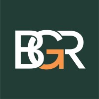 BGR Strategic Growth Coaching Inc. logo - Similar company to Dmarehability