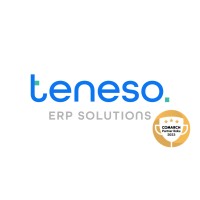 Teneso logo - Similar company to Ipeople Manpower Resources Inc