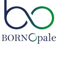 BORNOPALE SAS logo - Similar company to Cbc Solutions