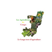 Les Agriculteurs du Congo logo - Similar company to Ager Aliment