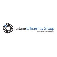 Turbine Efficiency Group logo - Similar company to Hgl Dynamics