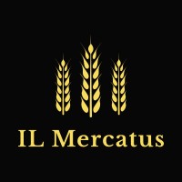 IL Mercatus logo - Similar company to Ocean Logistic