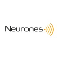 Neurones Technologies S.A. logo - Similar company to Ostec