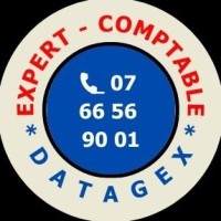 DATAGEX Expert-Comptable logo - Similar company to Ap3C Expert-Comptable