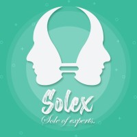 Solex Ecom logo - Similar company to Solex.Ai