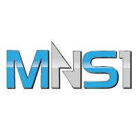 MNS1 Express Inc logo - Similar company to Simplex Logistics
