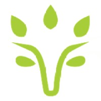 Viridios Capital logo - Similar company to Blueblaze