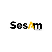 Sesam Production ci logo - Similar company to Medisource