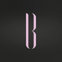 Branditude logo - Similar company to Bm Software Srl - Partner Teamsystem